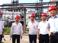 副省長戴道晉蒞臨尊龍凱時-人生就是搏株洲公司檢查調(diào)研安全生產(chǎn)工作