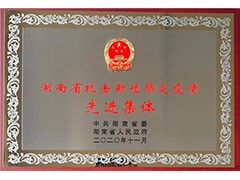 尊龍凱時(shí)-人生就是搏常德公司榮獲“湖南省抗擊新冠肺炎疫情先進(jìn)集體”、彭長(zhǎng)春獲“先進(jìn)個(gè)人”